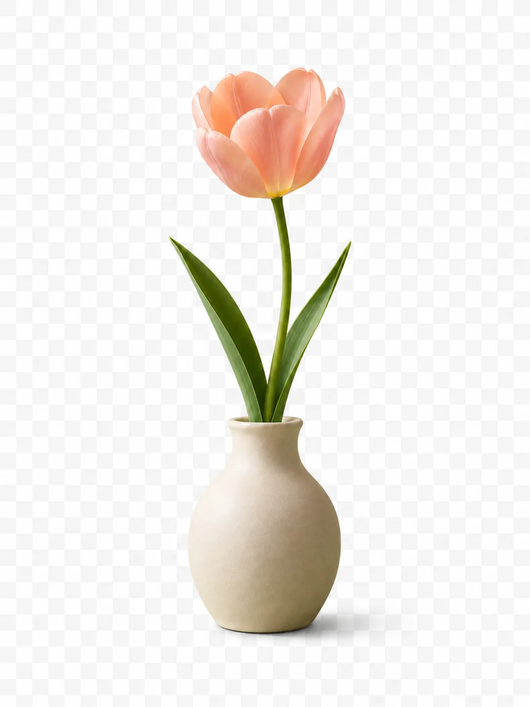 Product cutout with background removed by AI, high-resolution transparent background PNG (After)